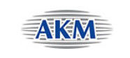 AK6508CS Bellek IC Yongası
